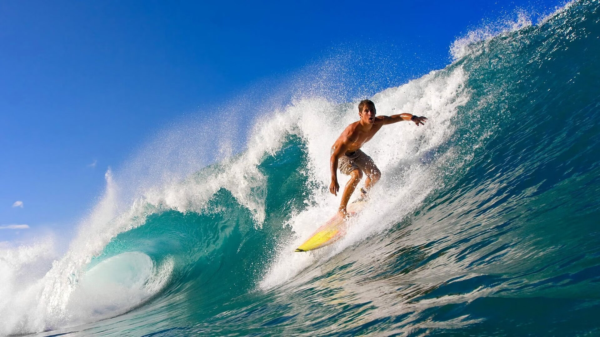 绿色能源充分利用，未来 足球场馆实现碳中和目标，现代化足球场